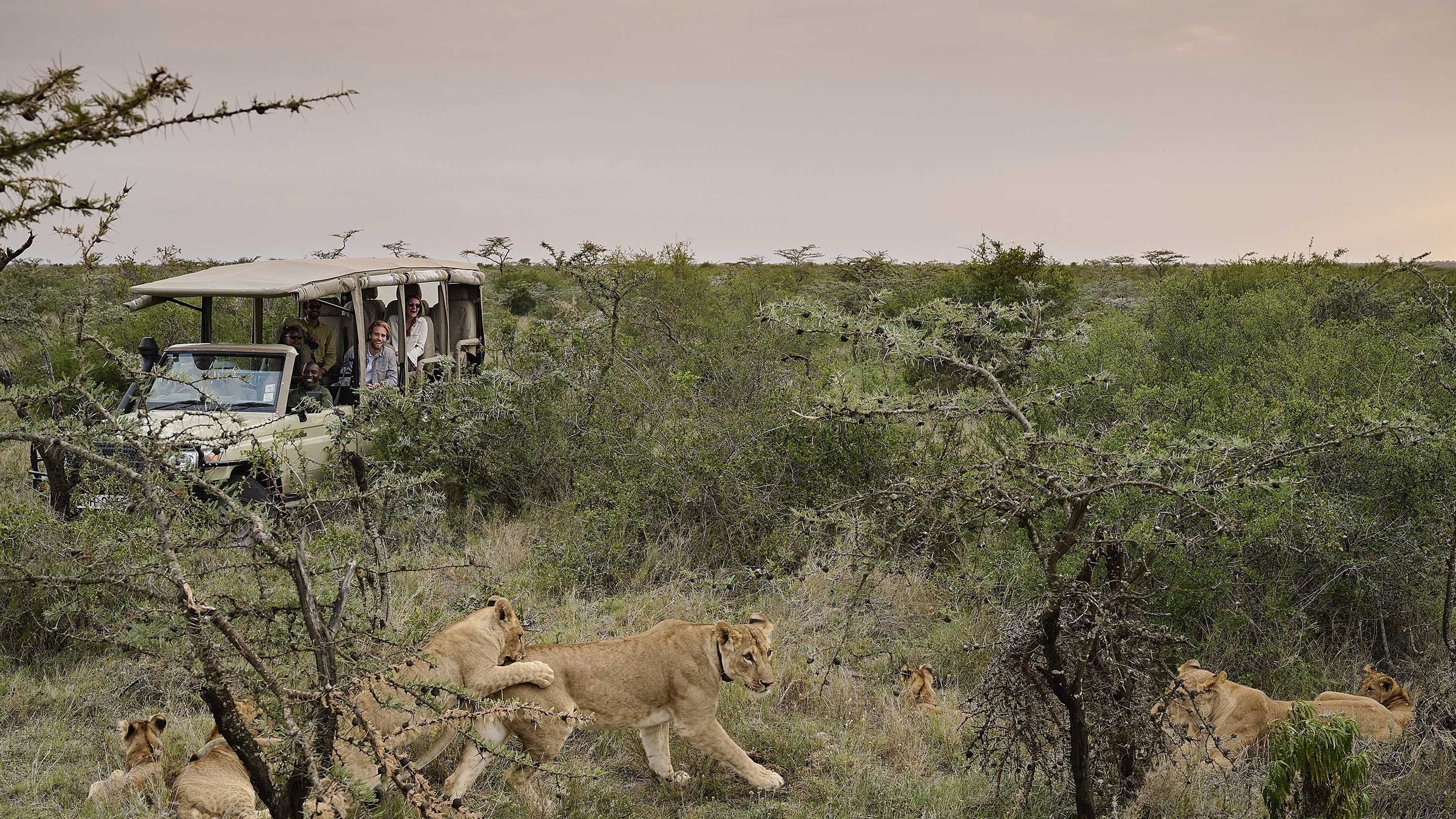 Wildlife Photography Safari: The Complete 2025–2026 Guide