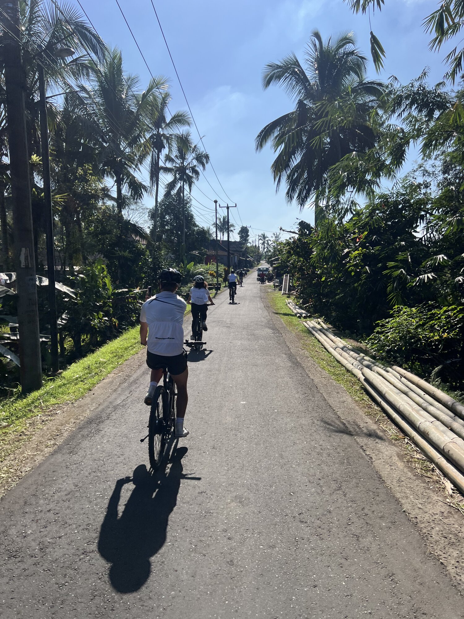 UNIKAT e-bike riders cycling through a Balinese village road lined with palm trees on the Green Escape tour