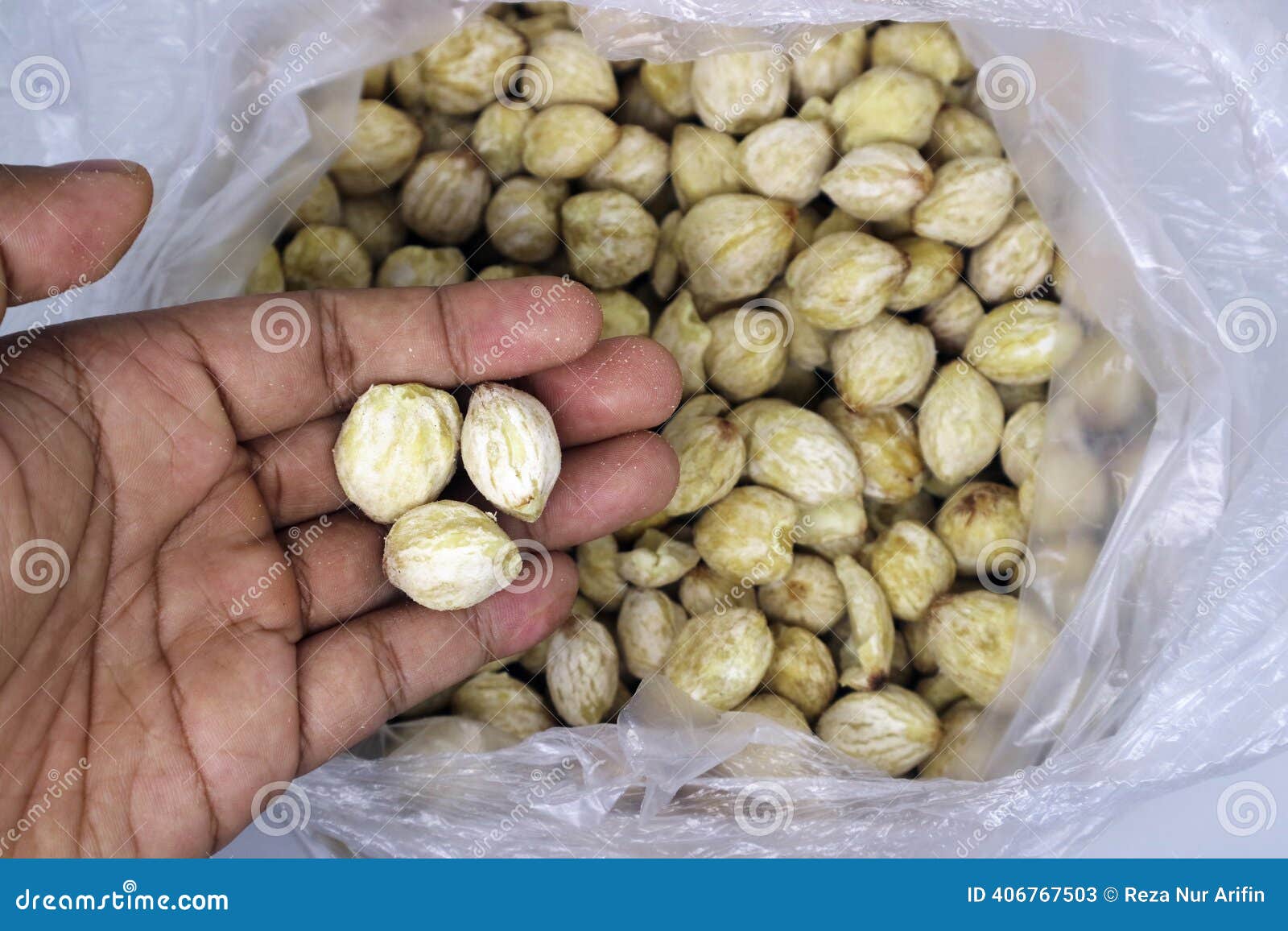 Premium Candlenuts (Kemiri)
