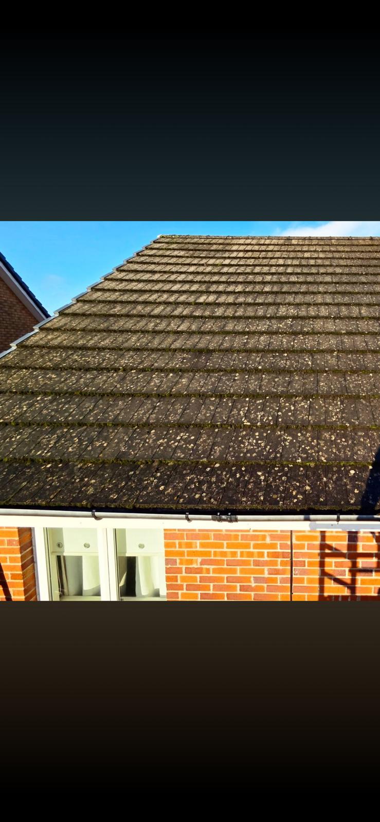 Roof tiles before cleaning - close-up