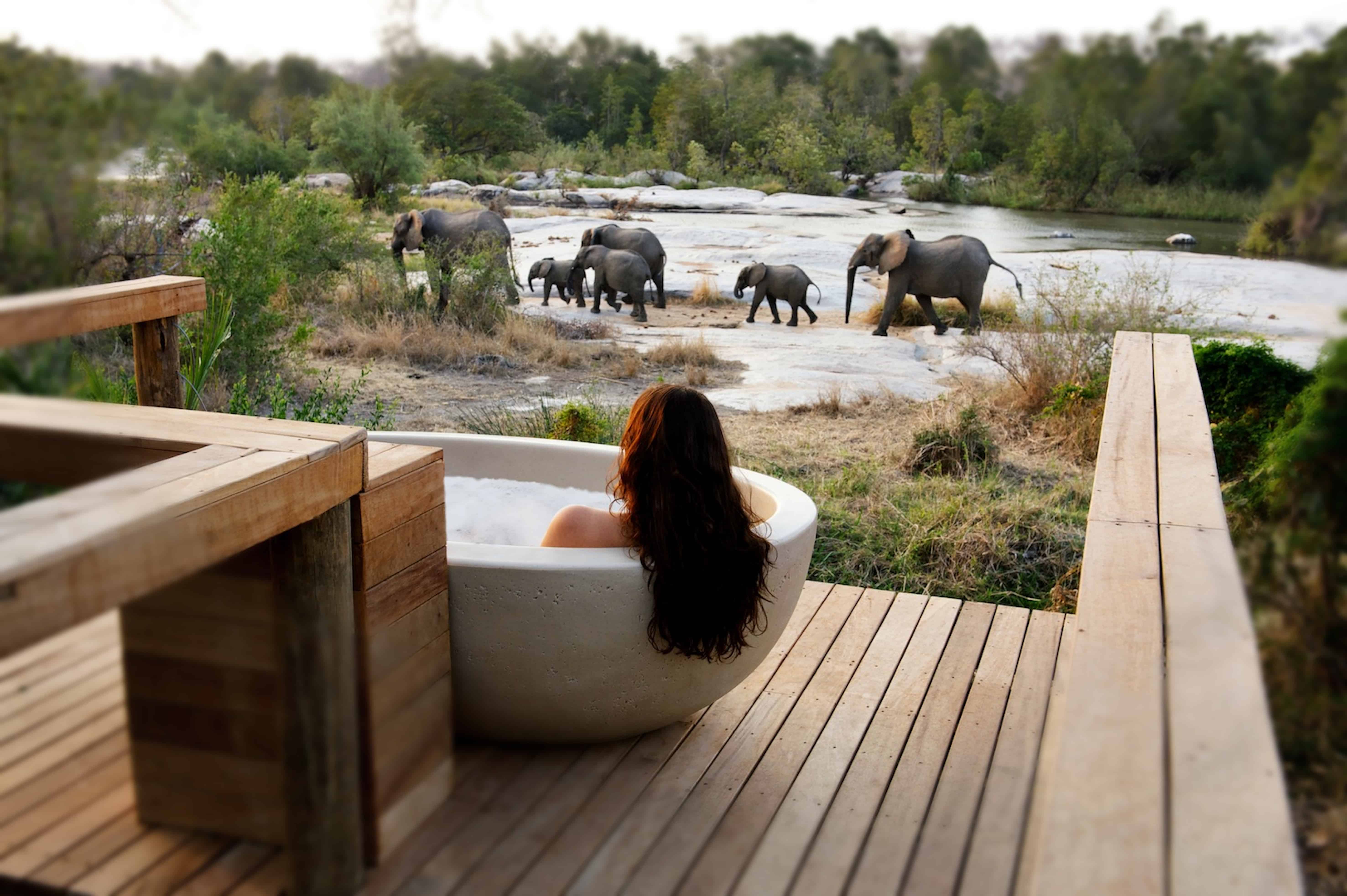 Luxury safari lodge overlooking the African bush