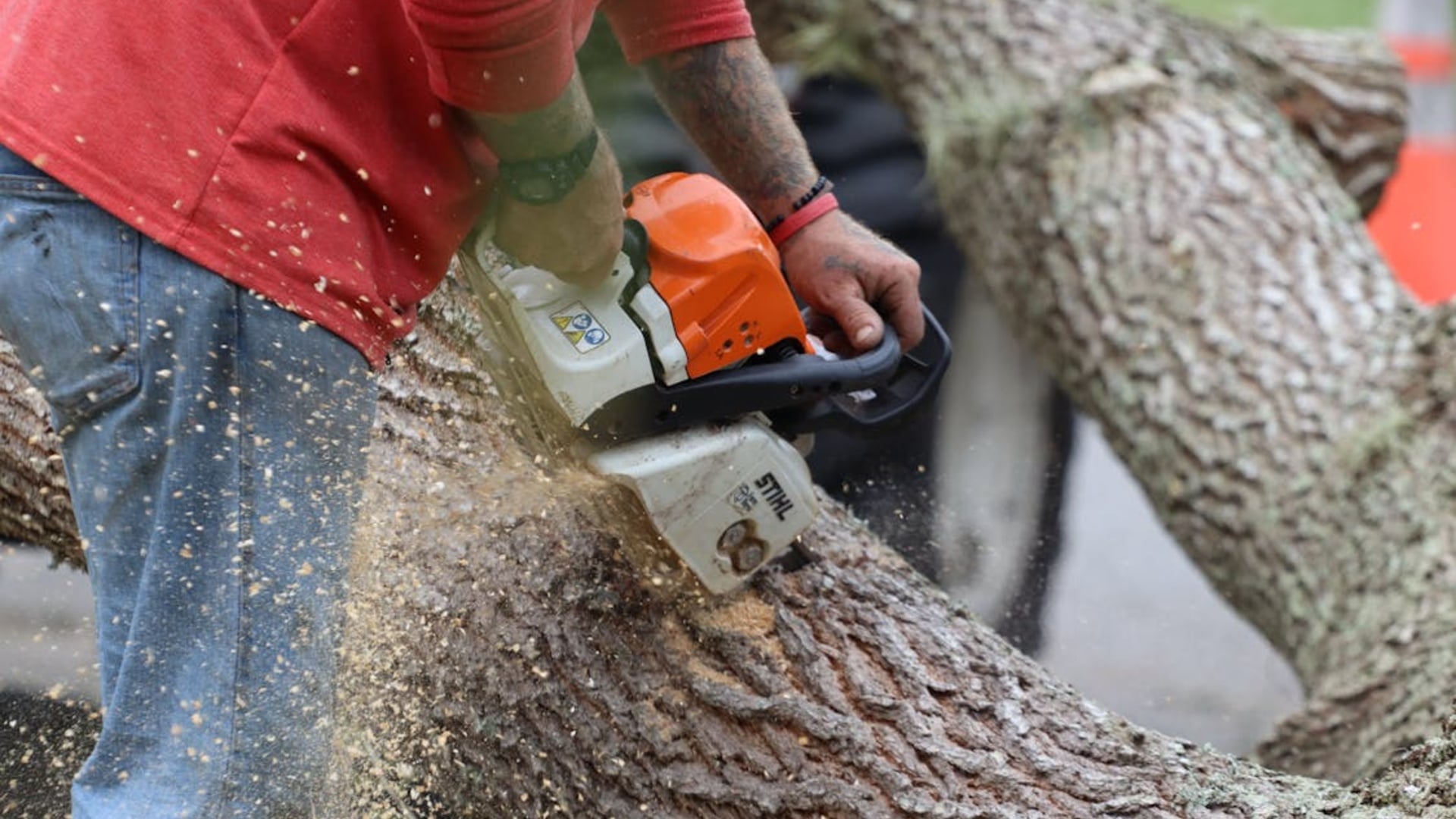 Tree Services detail view