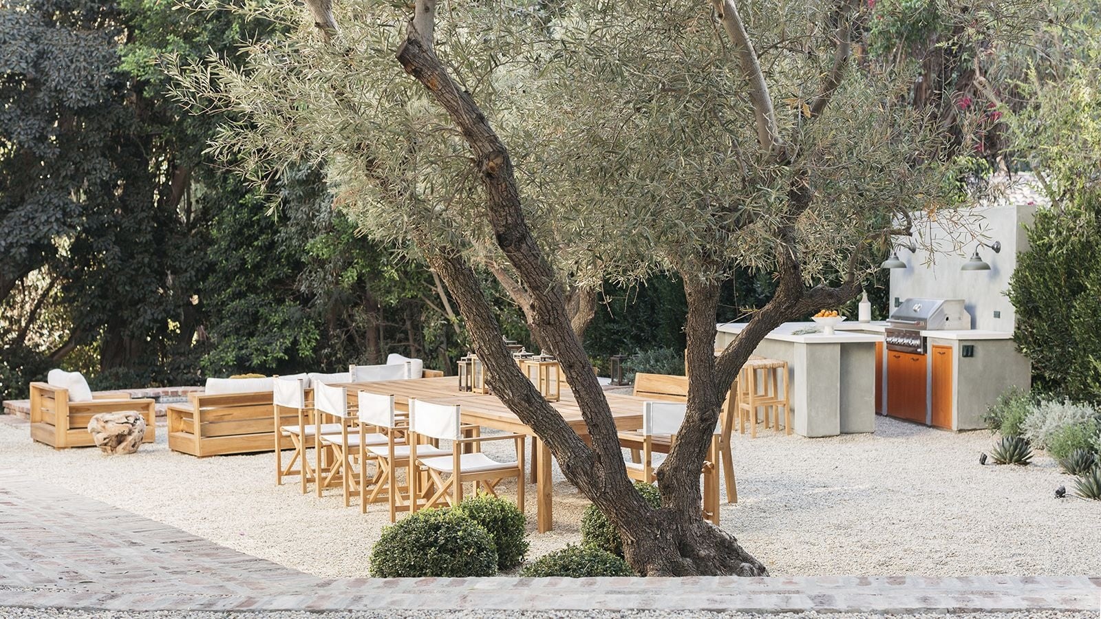 Mediterranean-style garden with gravel paths and olive trees