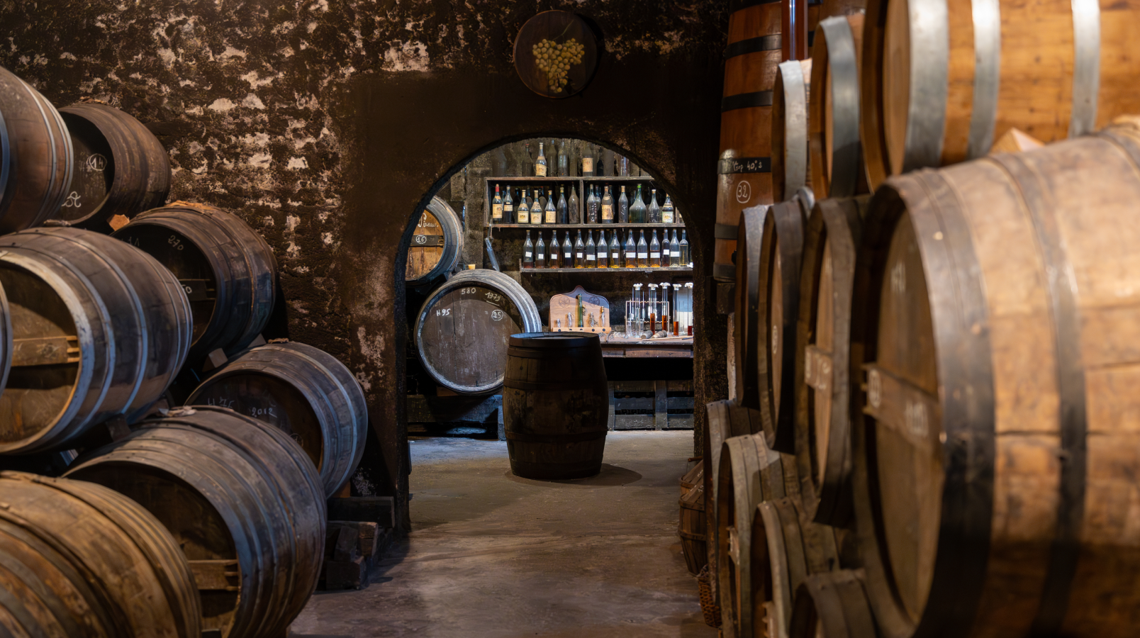 A Toast to History: The Centuries-Old Story of Winemaking in Nova Scotia