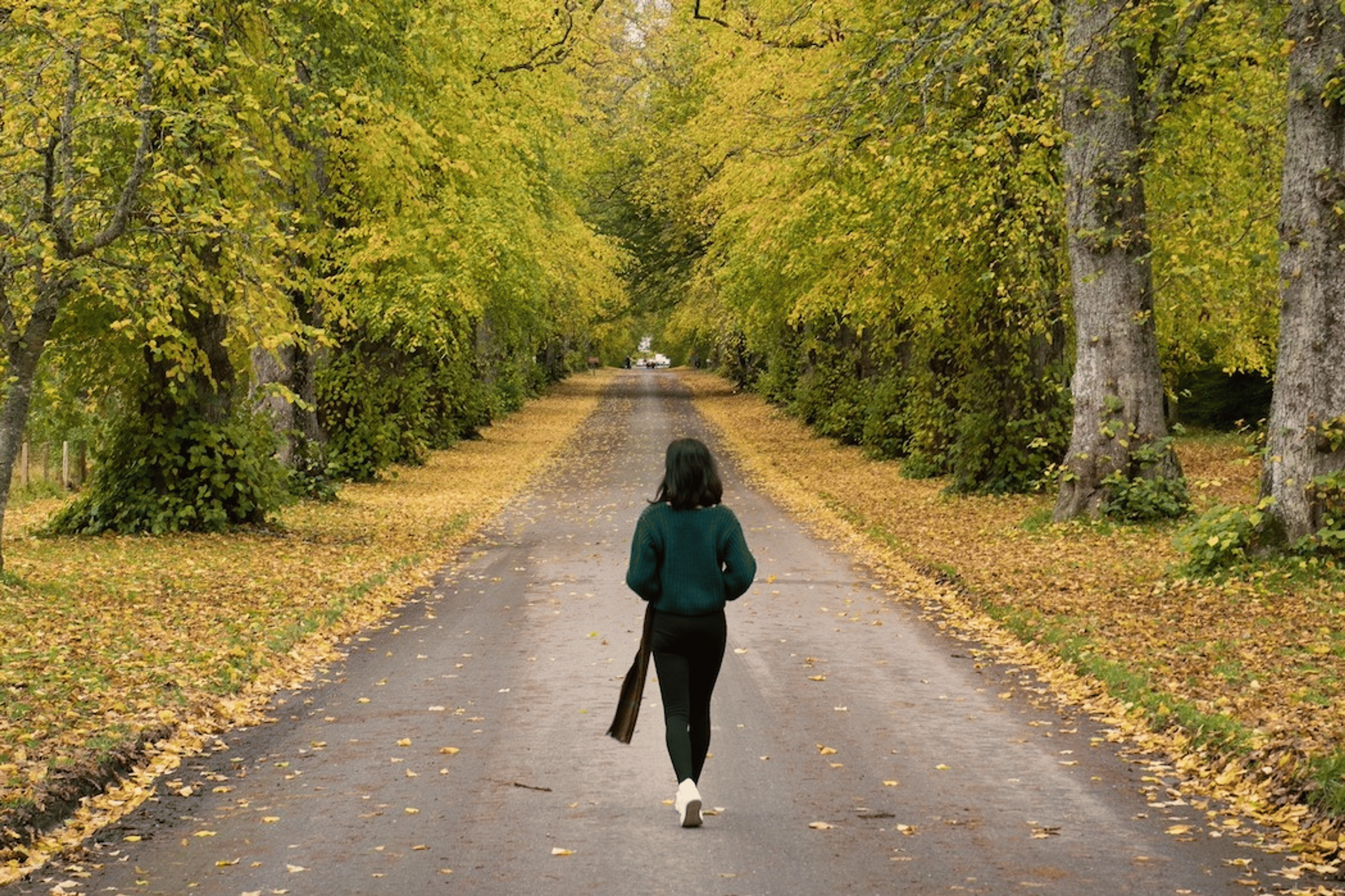 Woman walking confidently on a path representing rebuilding after divorce