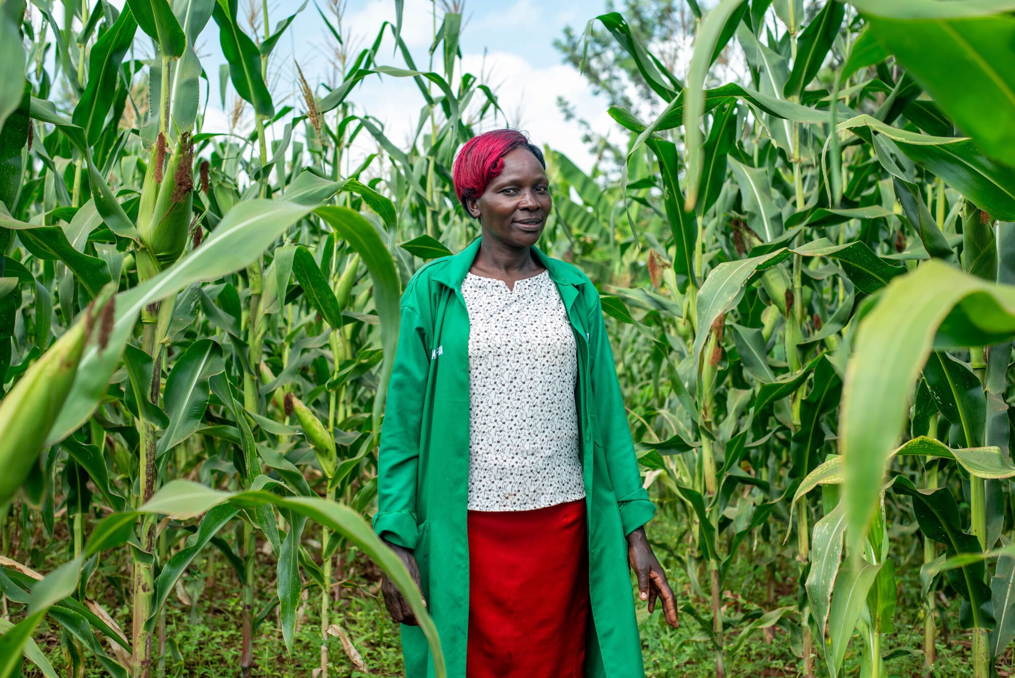 Agriculture - Sustainable Farming