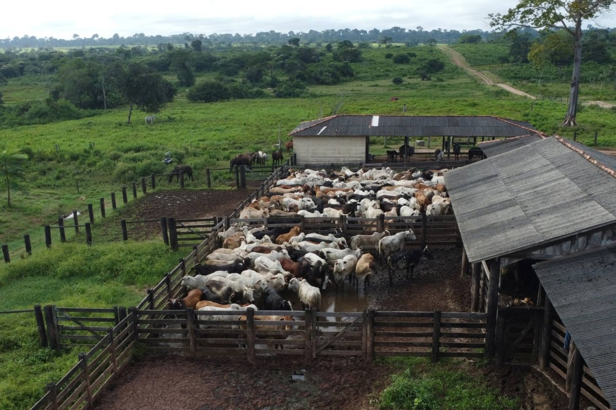 Fazenda Premium Pecuária - Jataí, GO