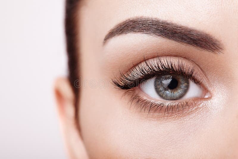 Servicios de pestañas y cejas