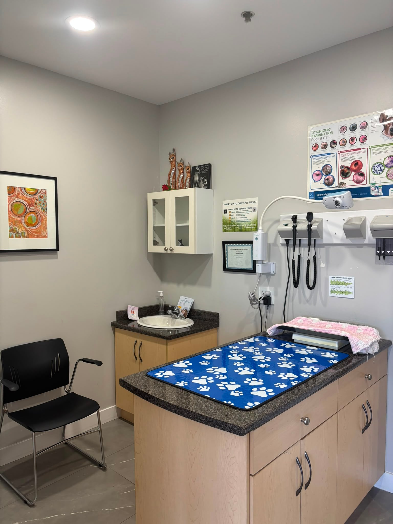 Compassionate, Comprehensive Care