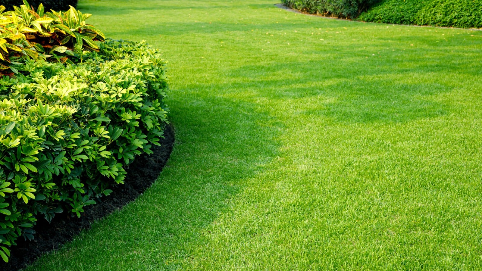 Lawn Care
