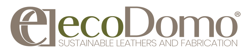 EcoDomo logo