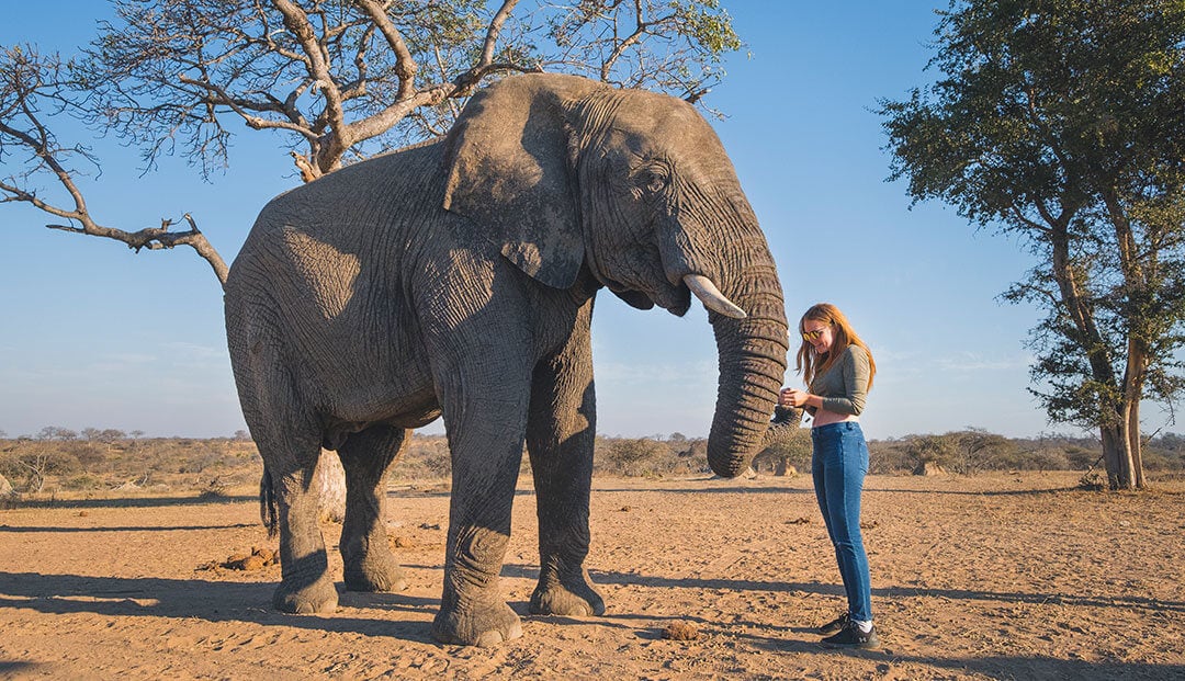 Kruger Safari 3-Day Adventure