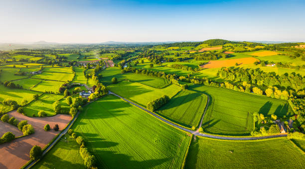 Lush green organic farm fields