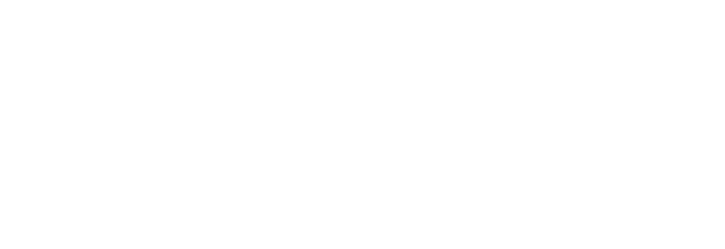 Magnet Forensics logo