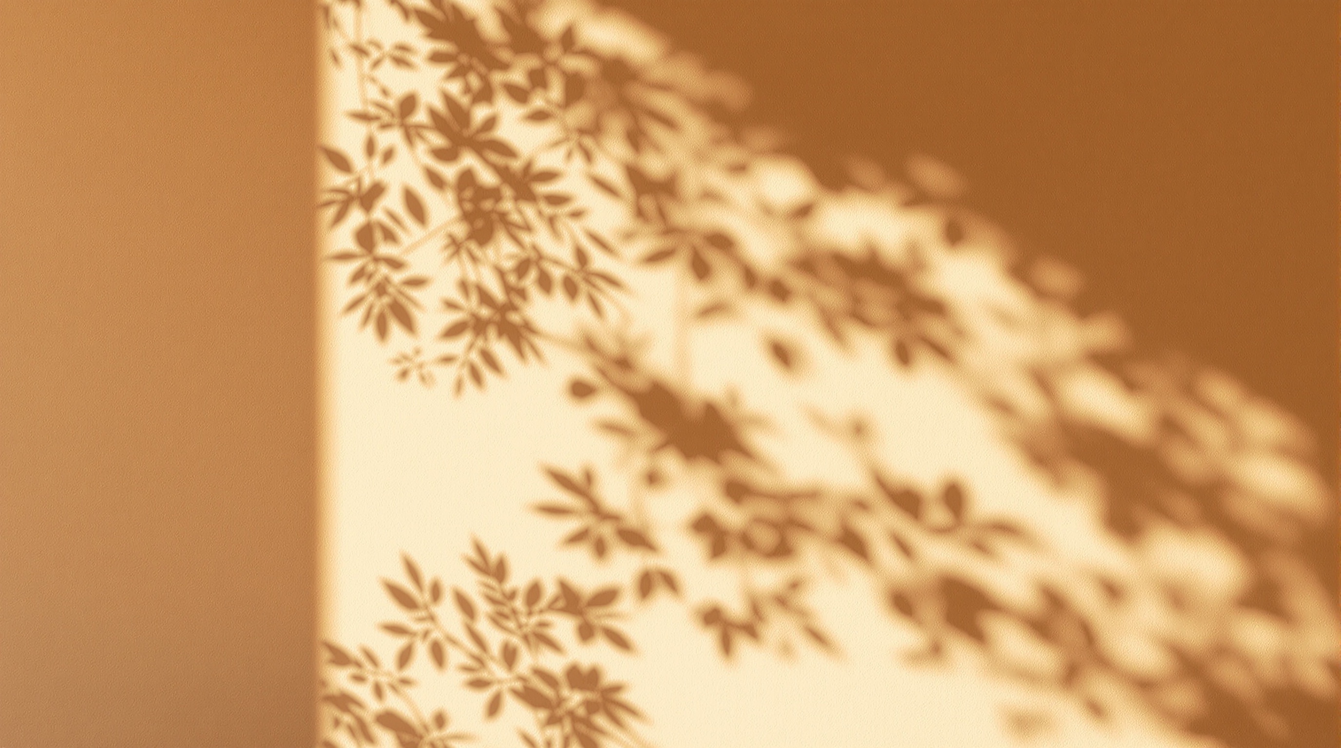 Luz e sombra - elementos da psique