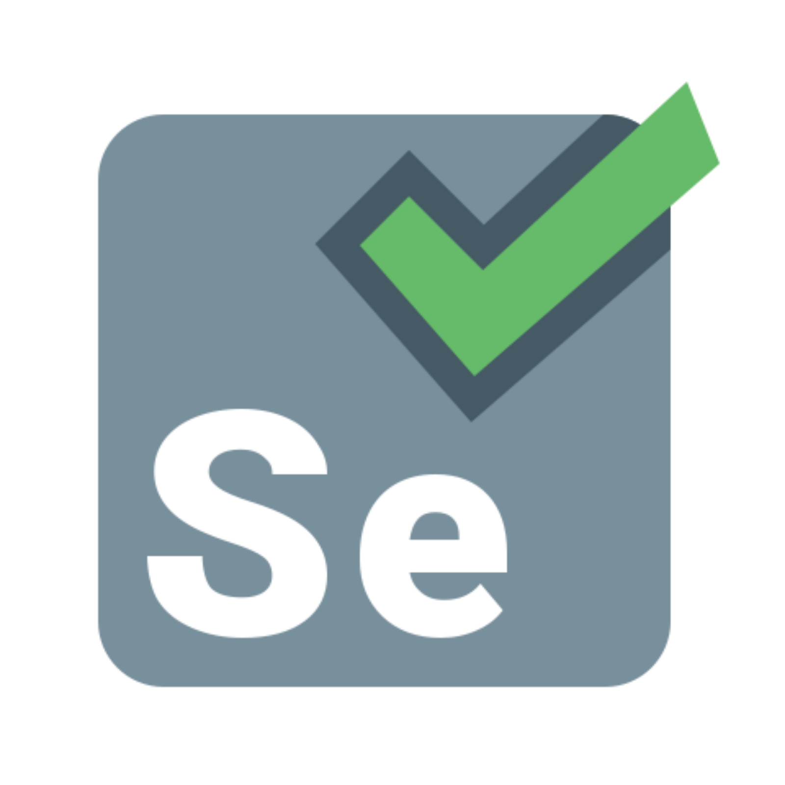 Selenium ile UI Otomasyonu - Temel Otomasyon Eğitimi