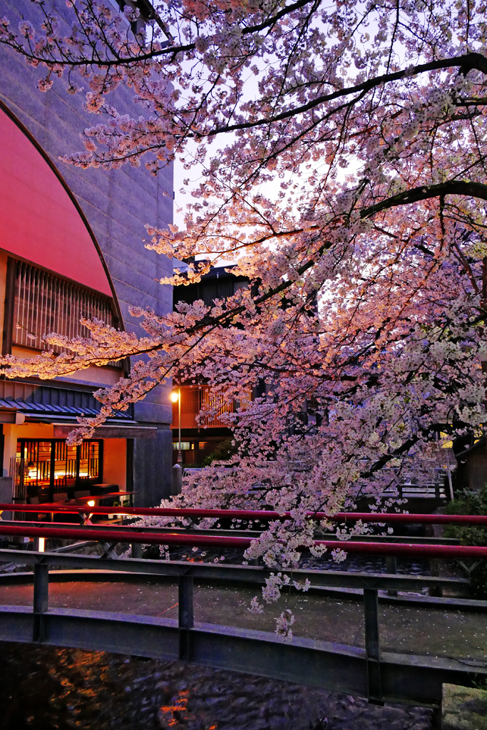 Japan themed experience zone