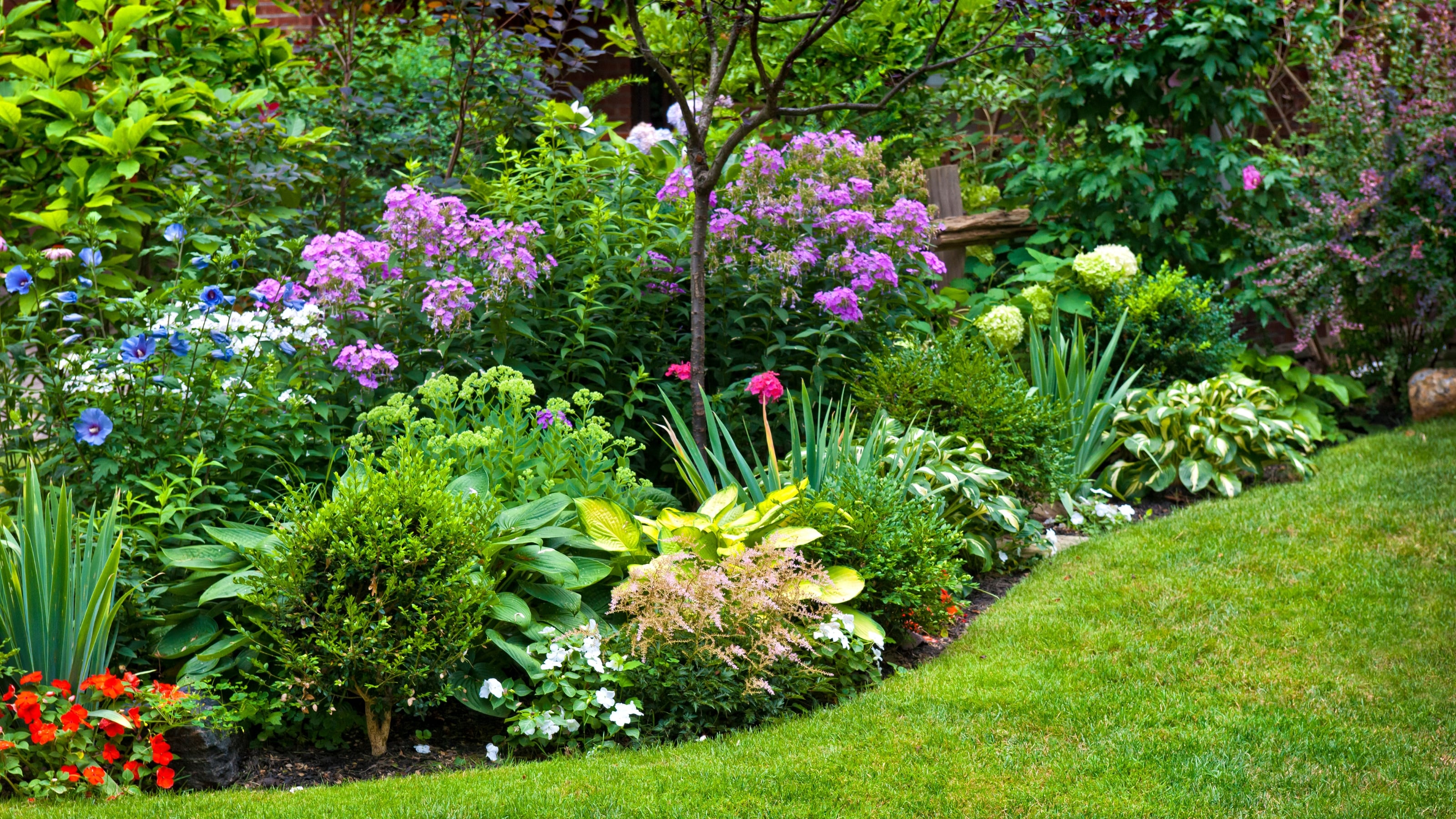 Professional front garden with colourful flower borders