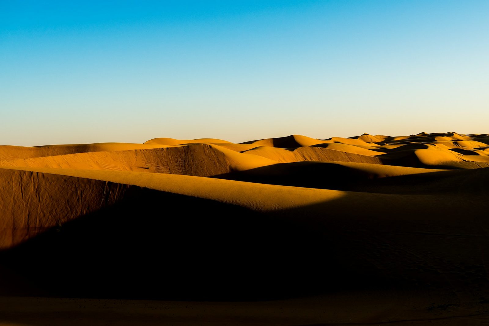 Dunes du désert de Wahiba à Oman