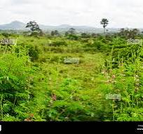 Otu Jeremy land before purchase