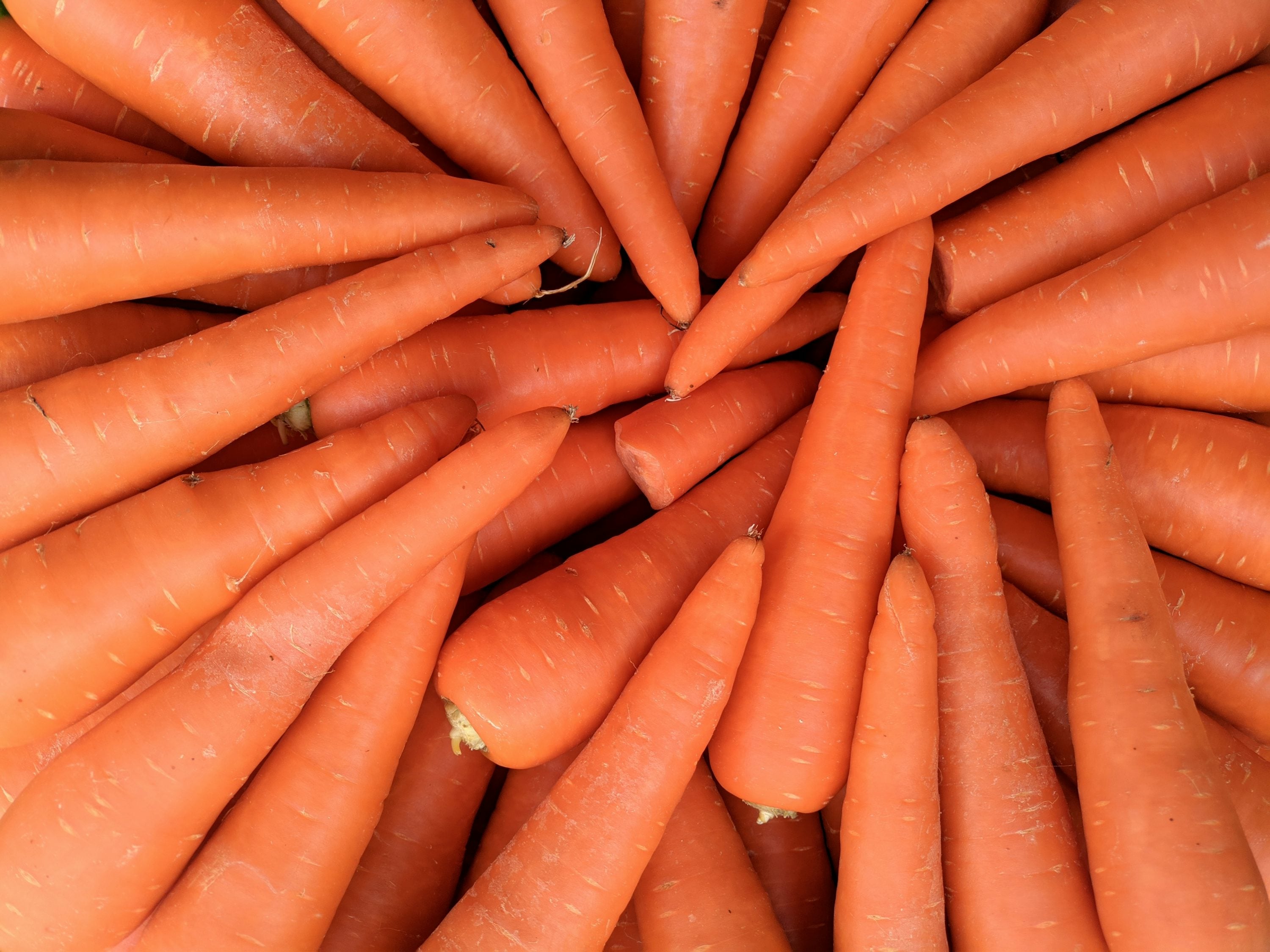 Carrots — ingredient guide