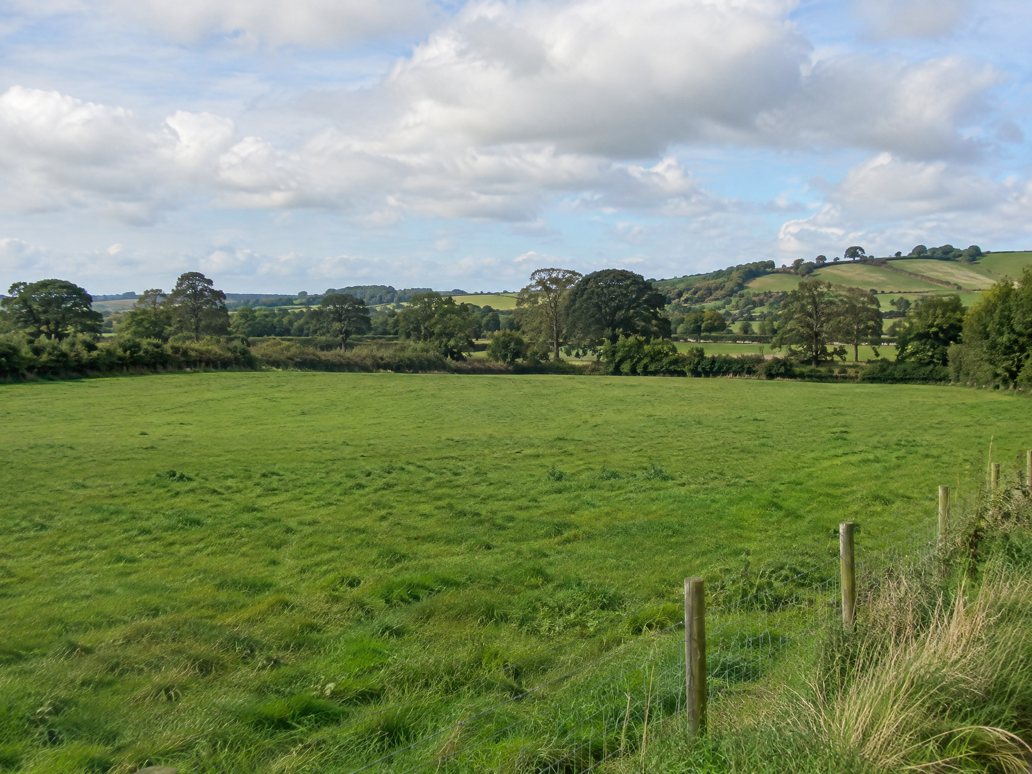 UK rural green land plot