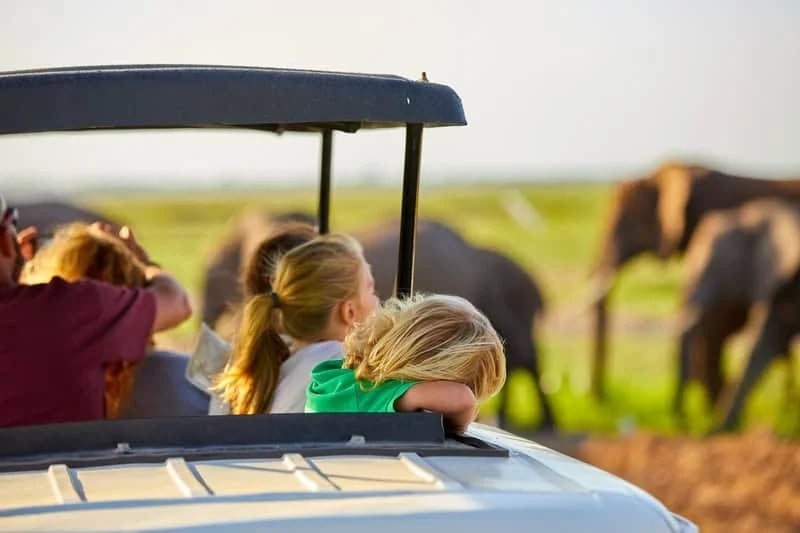 Best Family Safari in Africa: The Complete 2025–2026 Guide