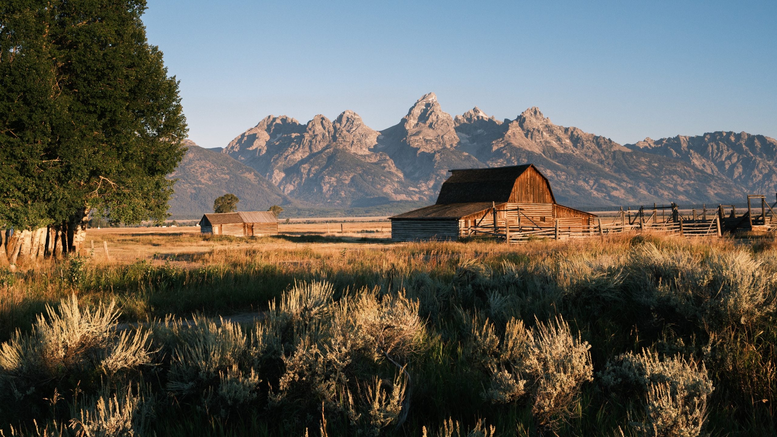 Wyoming for business formation