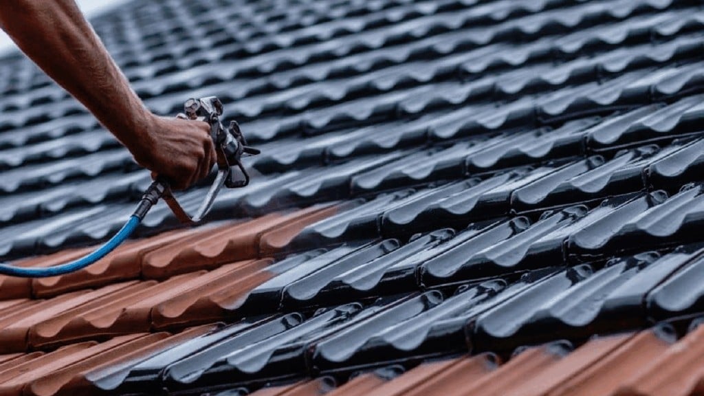 Roof Cleaning & Painting