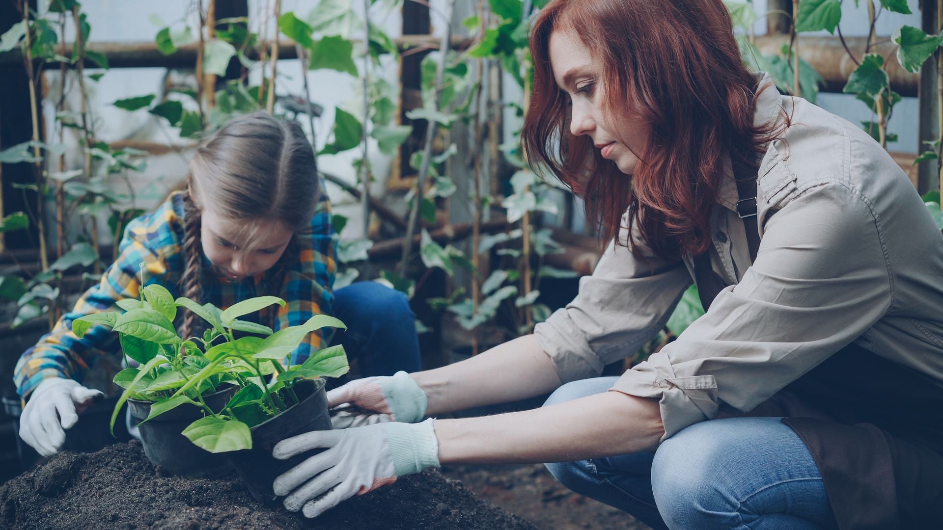 Mãe e criança plantando juntas em um ambiente acolhedor com luz natural