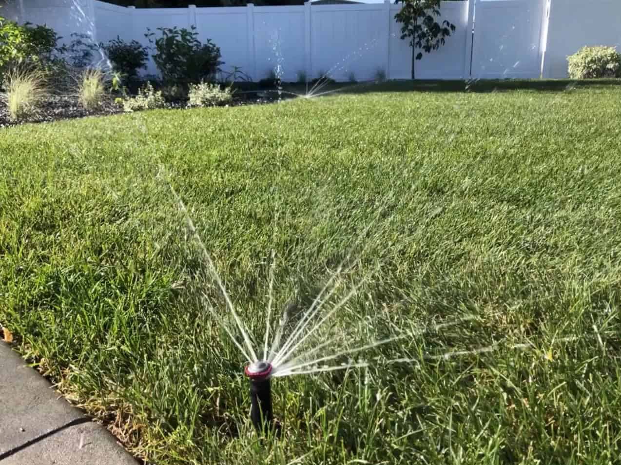 Irrigation pipe installation with sprinkler fittings in Bulawayo garden