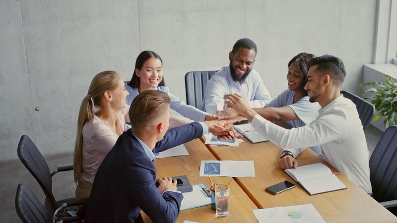 Diverse team of professionals collaborating on diversity strategy in a modern meeting room