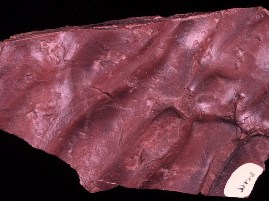 Mudstone & siltstone