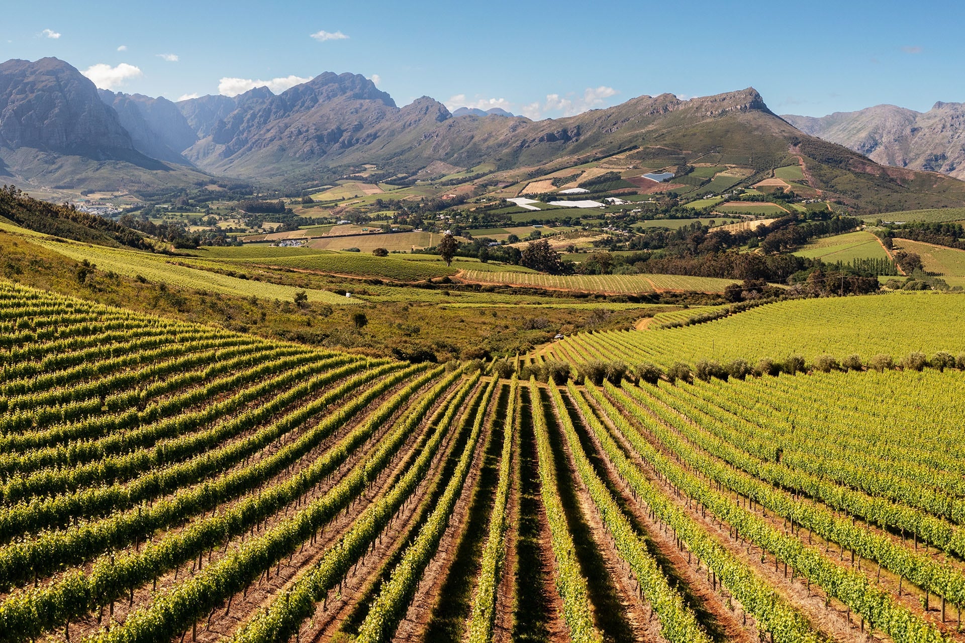 Stellenbosch & Franschhoek Wine Tours