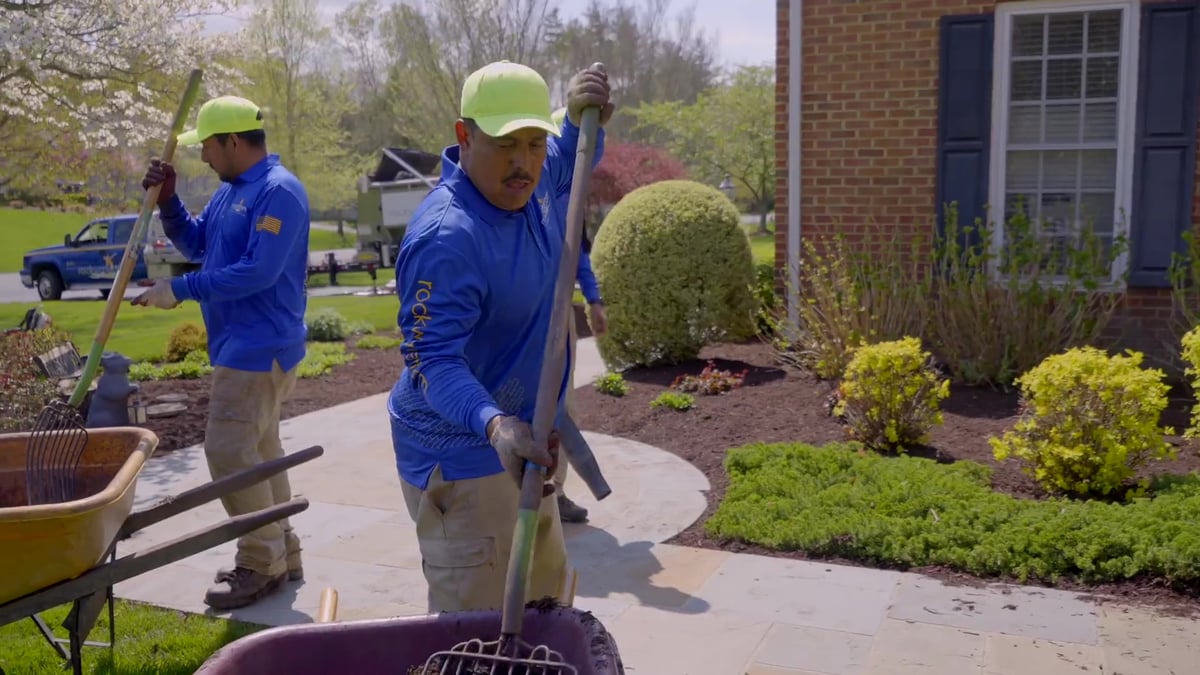 Pro Logic team providing professional garden maintenance