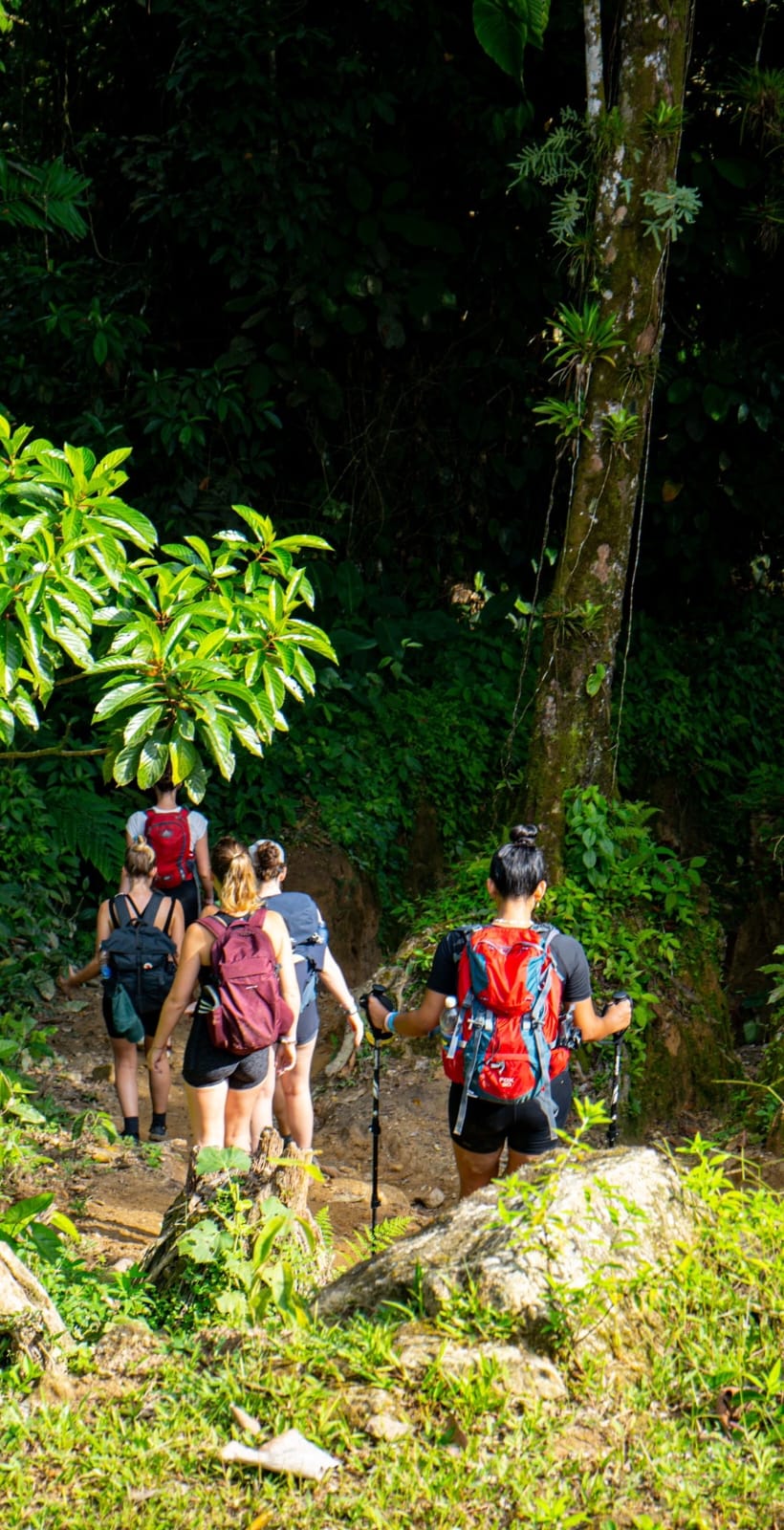 Excursión en la selva