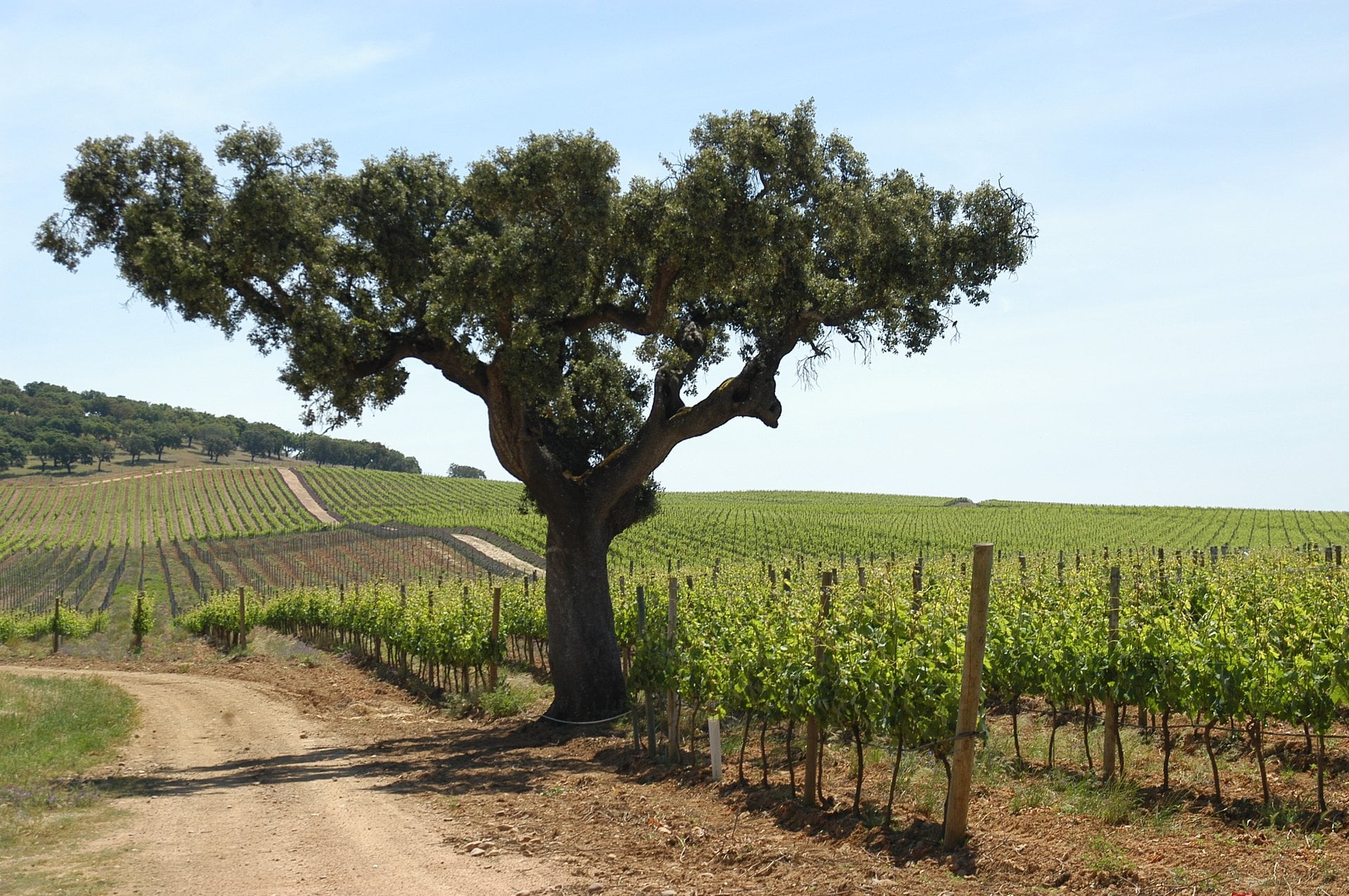 Do Alentejo ao Douro