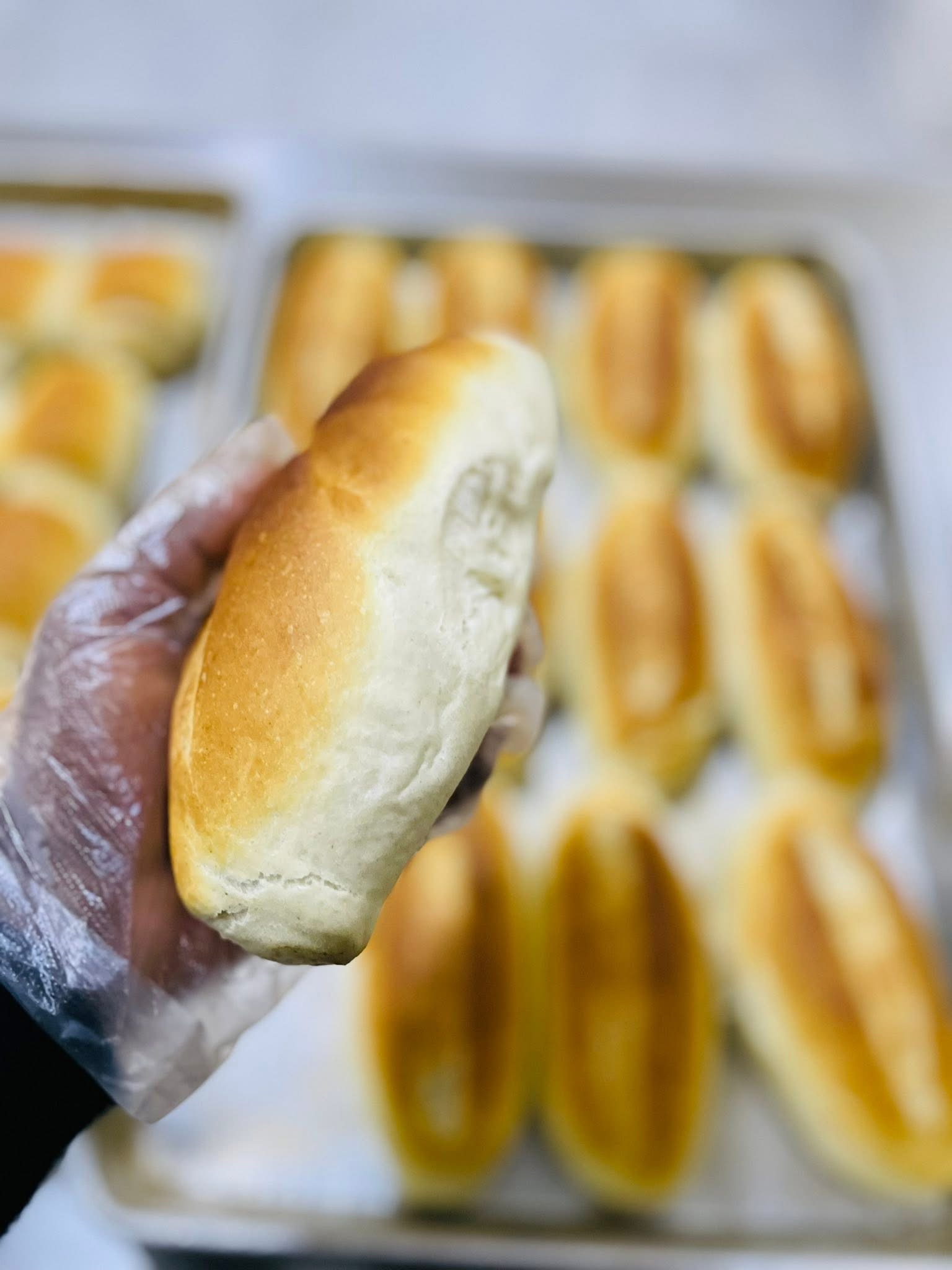 Pão fresco do forno
