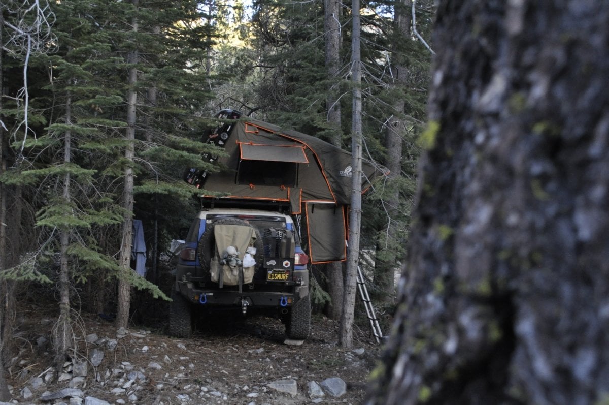 Open road through American wilderness for overlanding adventure