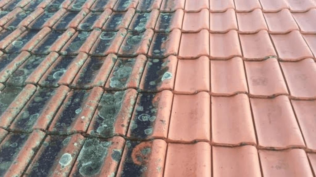 Professional roof cleaning UK