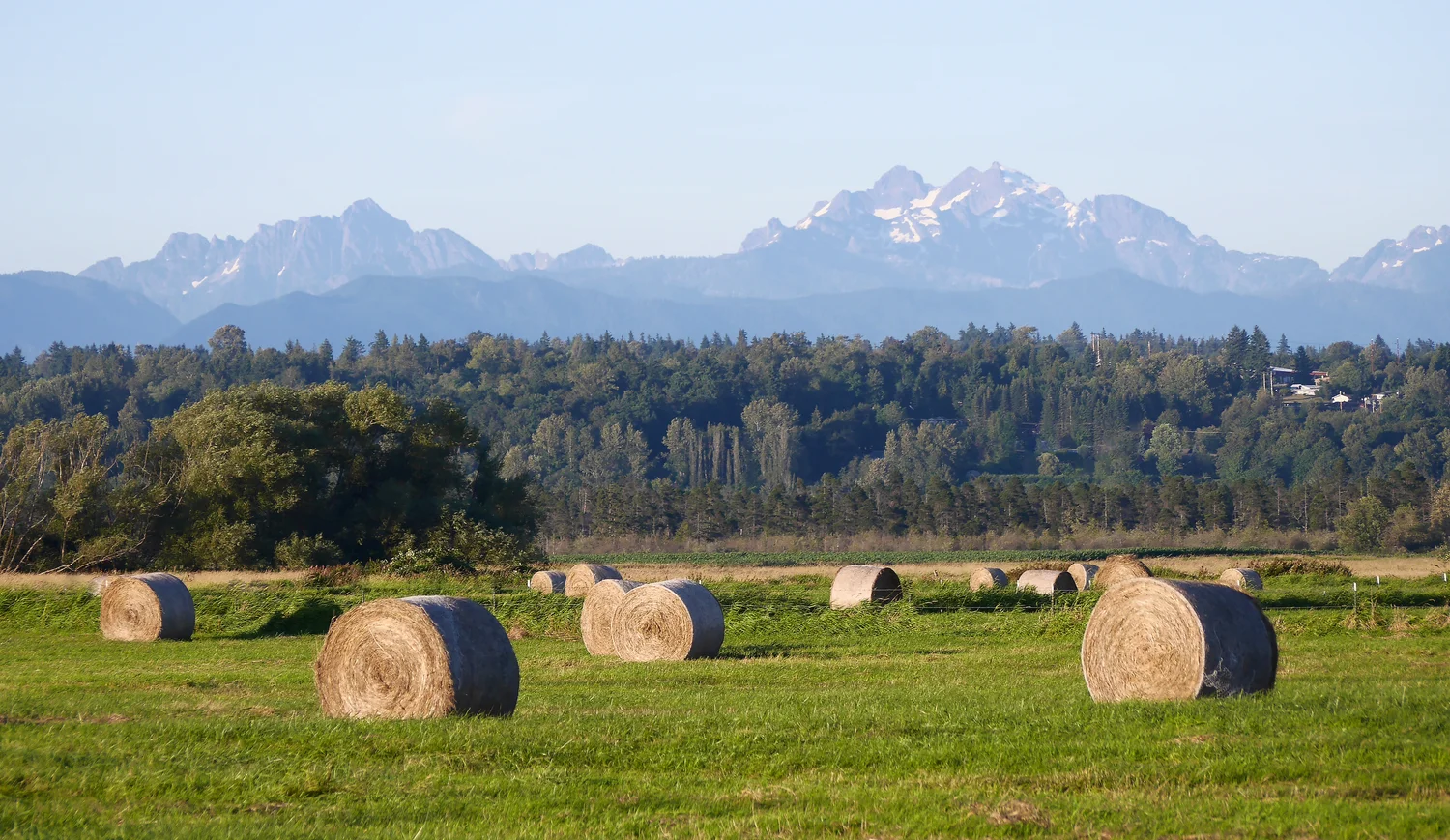 Peaceful Snohomish WA countryside with mountains in the distance