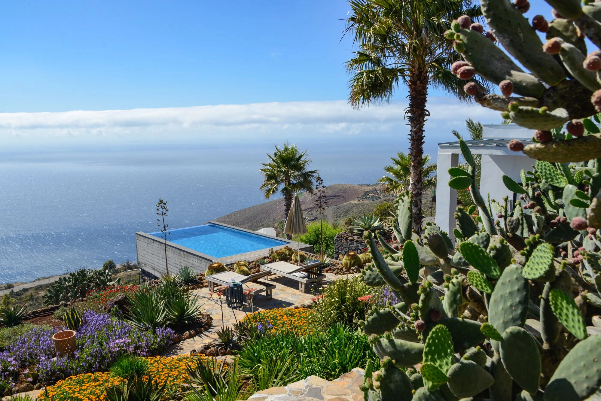 Pool garden with palm trees, cacti and ocean panorama