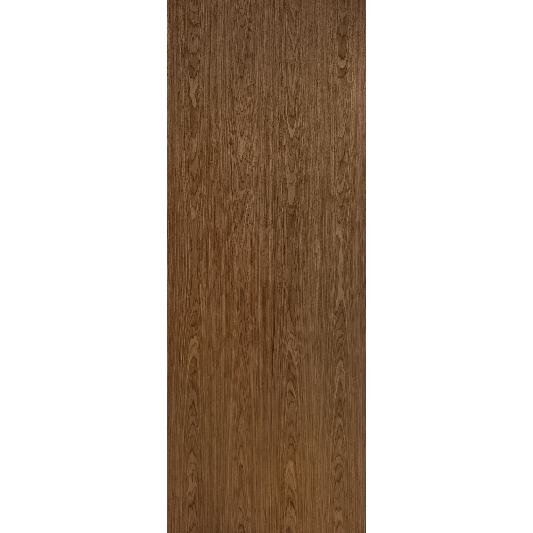 Flush Veneer Door - Walnut Oak