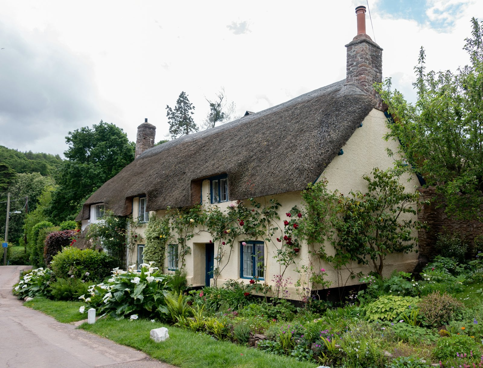 General Tree & Garden Services