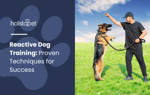 Behavior modification success story