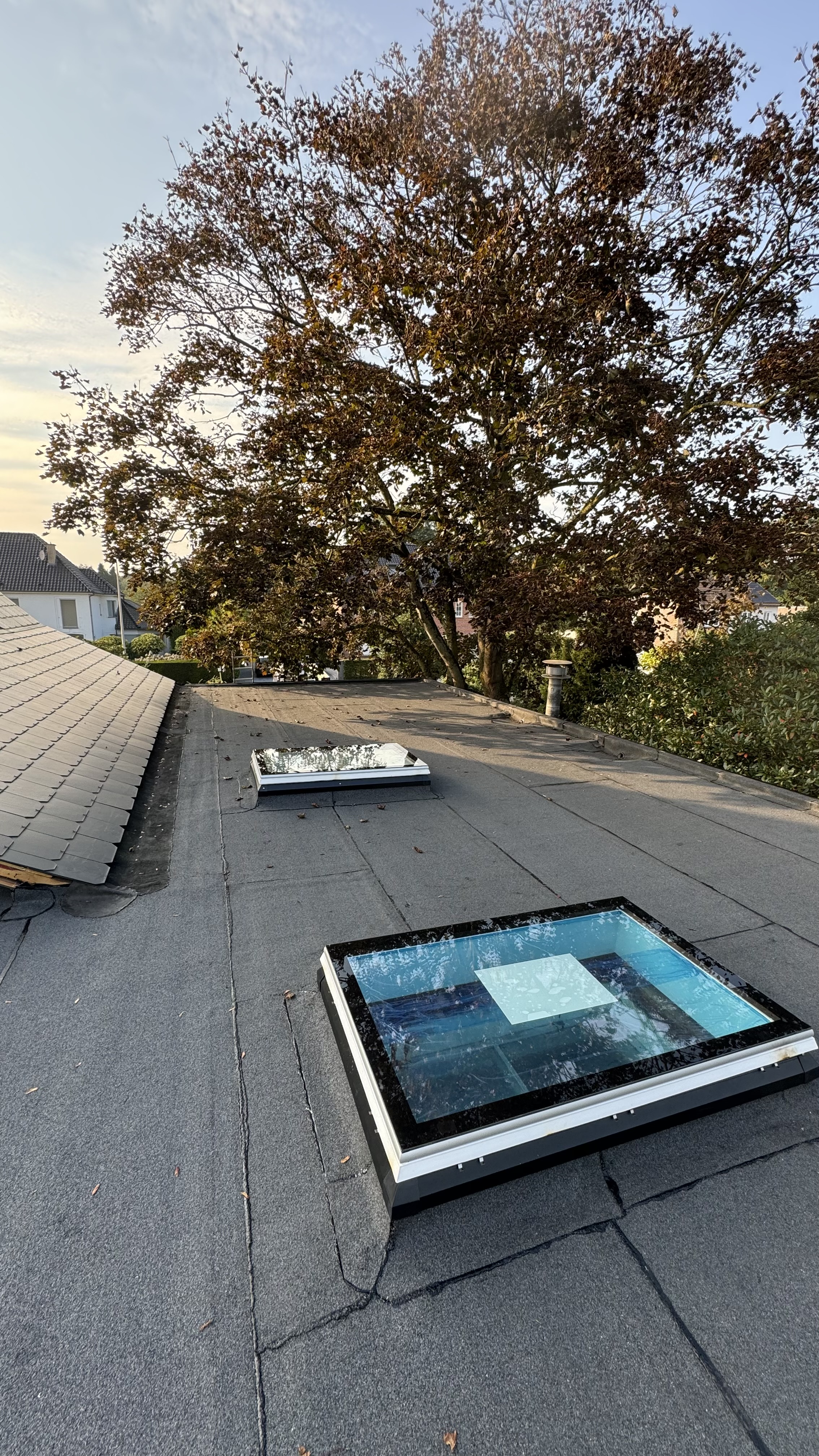 Plat dak met lichtkoepels en isolatie