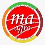 Logo Manufactura Avellaneda
