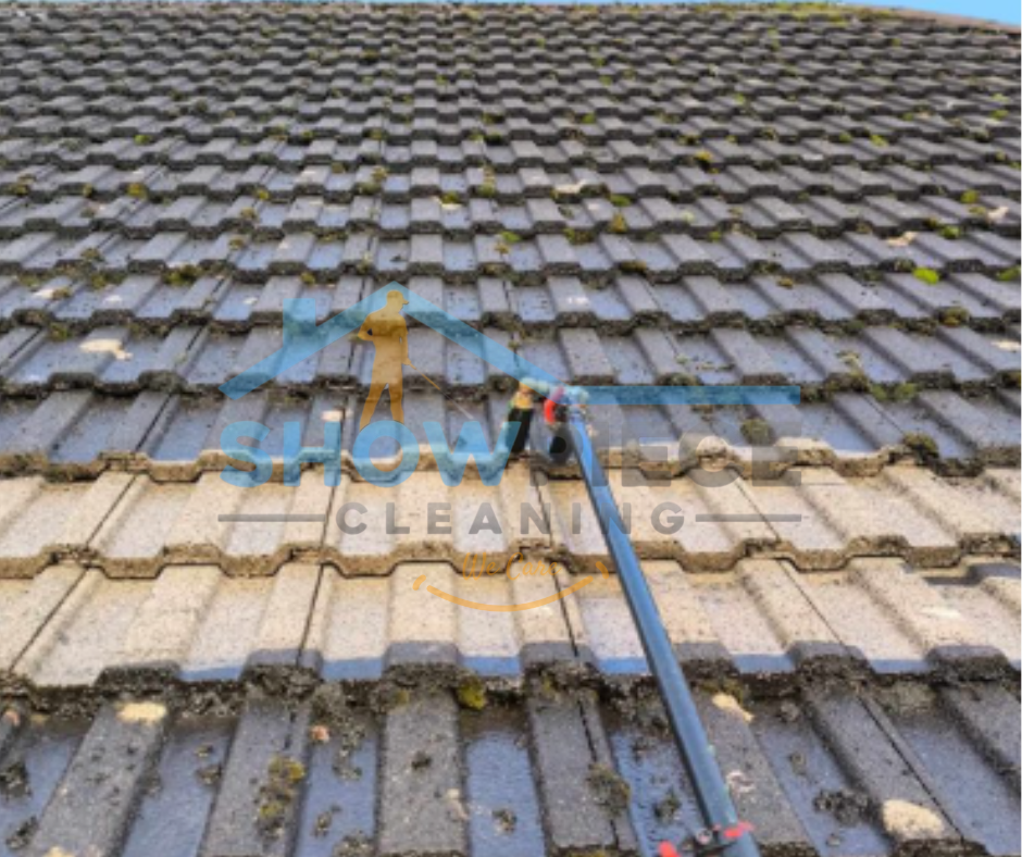 Professional roof cleaning in progress