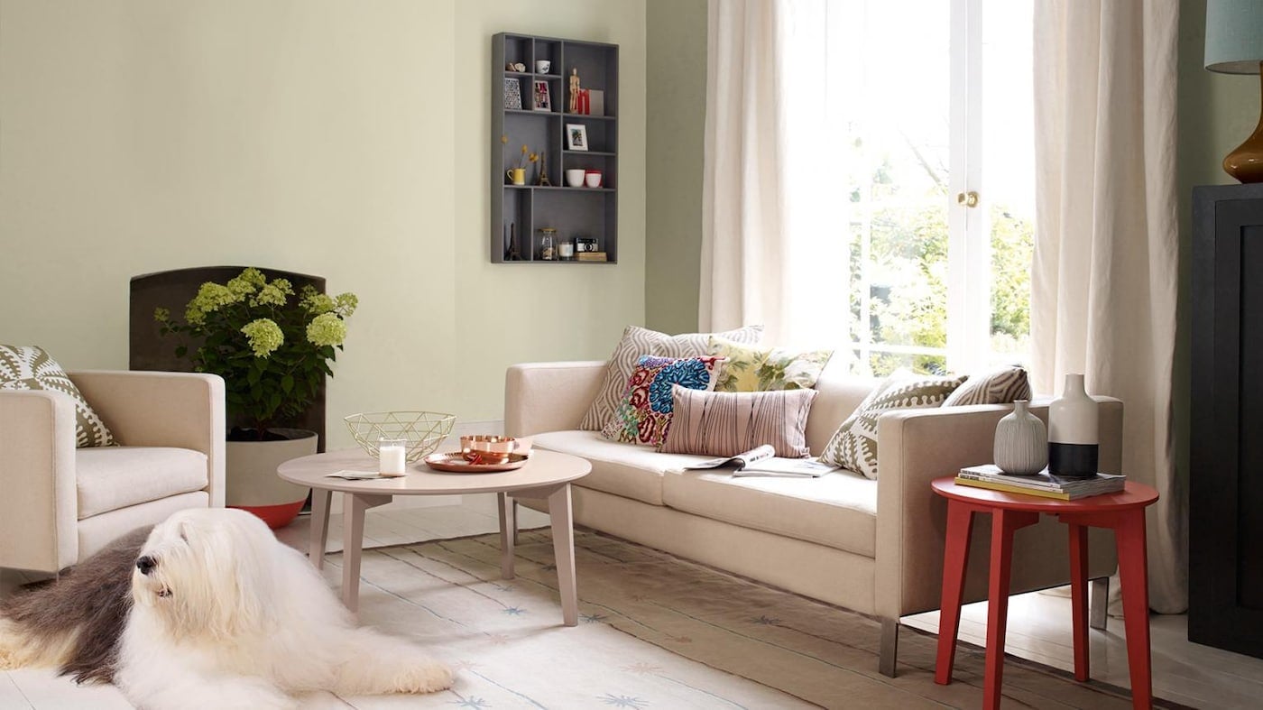 Freshly painted interior room