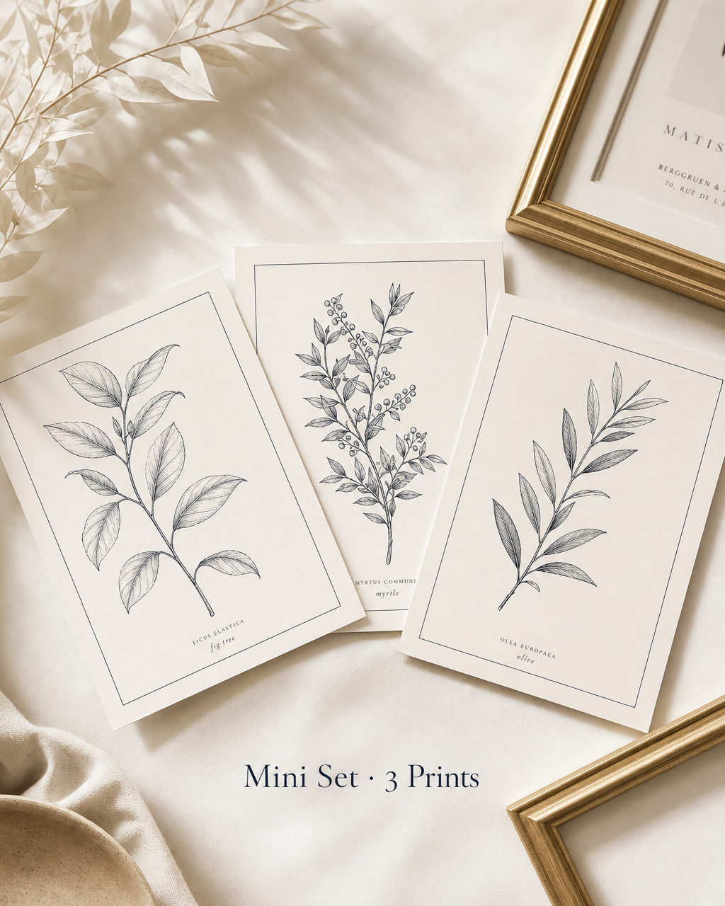 Minimalist Botanicals — Mini Set (3 Prints)